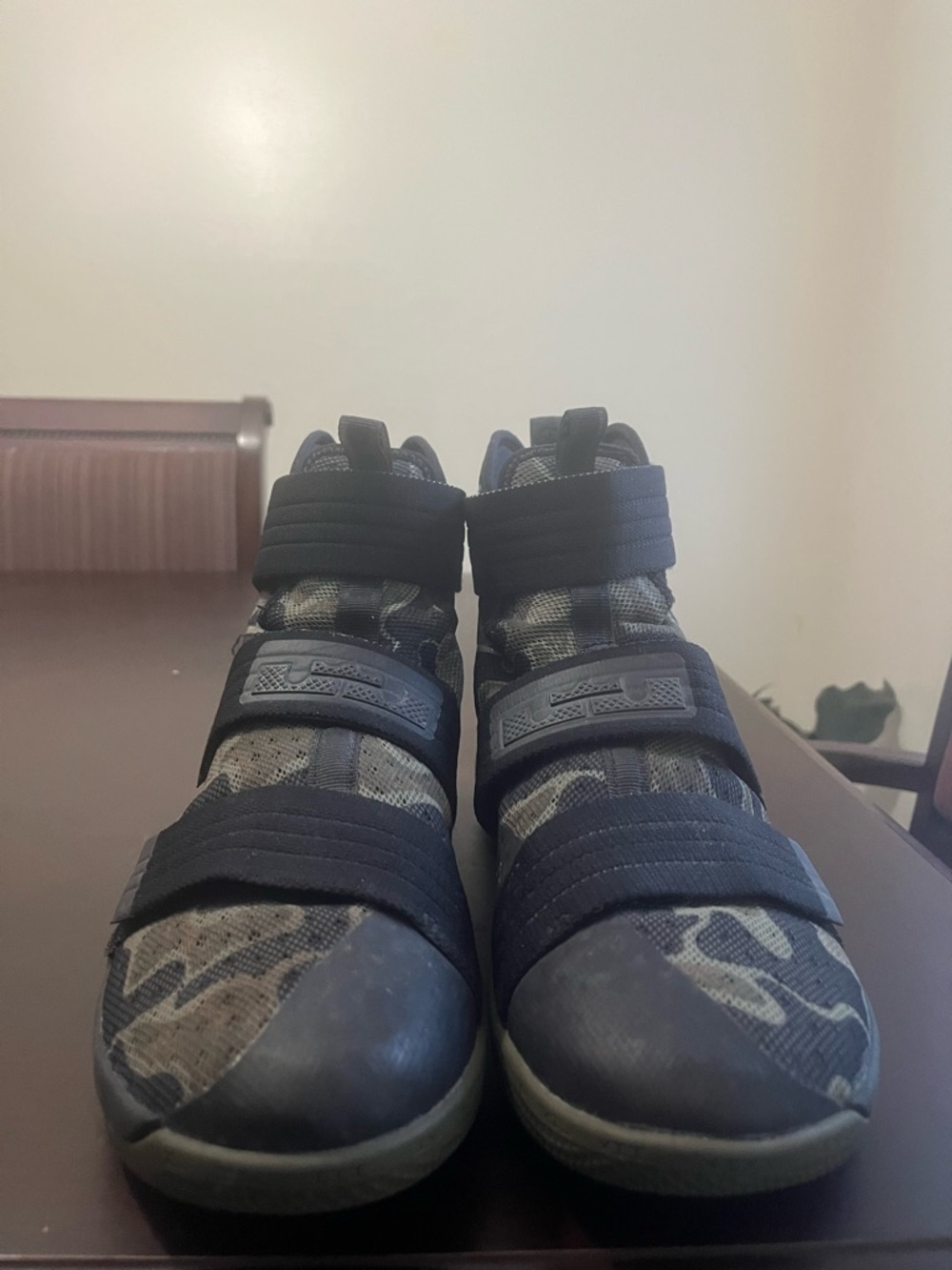 LeBron Soldiers 10 Camo